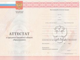 Аттестат за 11 класс2010 - 2013 годов